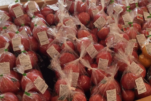 鳥取県/道の駅にちなん日野川の郷/青果コーナー