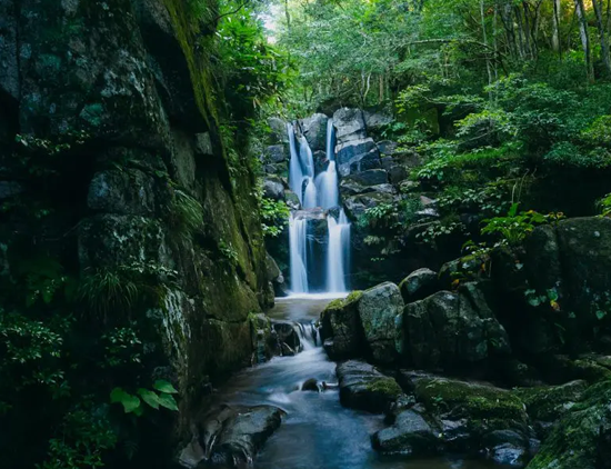 鳥取県日野郡日南町/道の駅にちなん日野川の周辺観光スポット/聖滝渓流