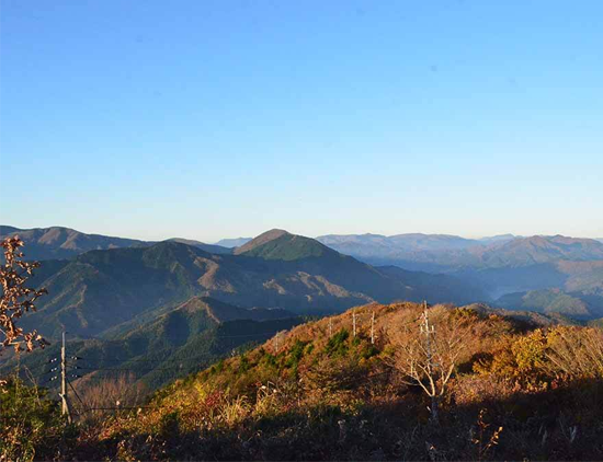 鳥取県日野郡日南町/道の駅にちなん日野川の周辺観光スポット/鬼林山