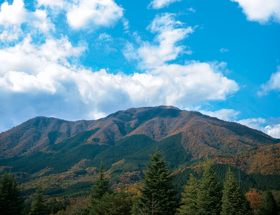 鳥取県日野郡日南町/道の駅にちなん日野川の周辺観光スポット/大倉山
