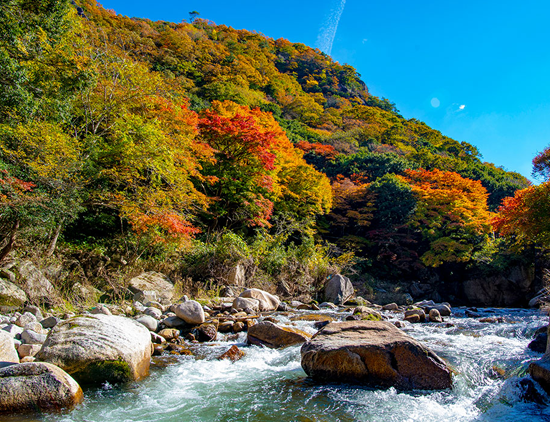 鳥取県日野郡日南町/道の駅にちなん日野川の周辺観光スポット/石霞渓
