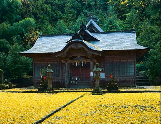 鳥取県日野郡日南町/道の駅にちなん日野川の周辺観光スポット/大石見神社