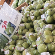 鳥取県日野郡日南町/道の駅にちなん日野川の郷/インスタグラム