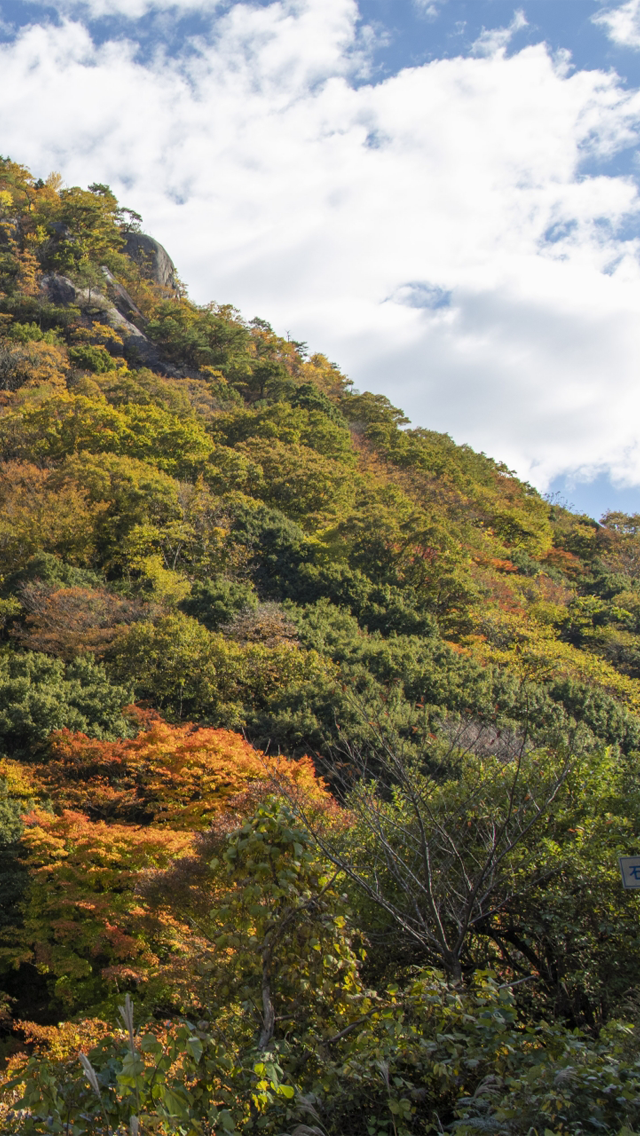 鳥取県日野郡日南町/道の駅にちなん日野川の郷/スライダー